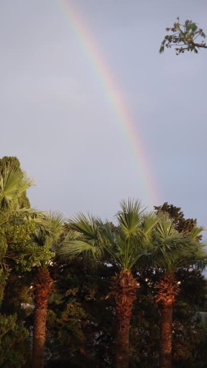 Wunderschönes Ergebniss vom kurzen Regenschauer im The Orangers Beach Resort and Bungalows