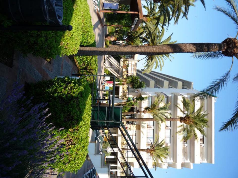 Gartenanlage allsun Hotel Bahia del Este