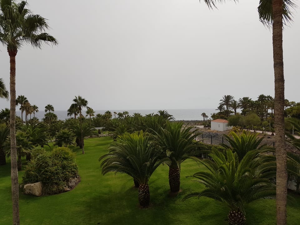 Ausblick Hotel Riu Palace Tenerife