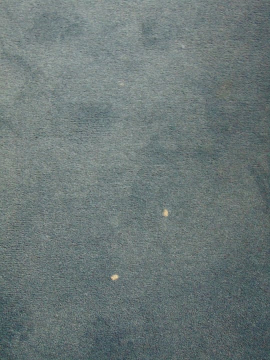 Zimmer Best Western Plus Airport Hotel Copenhagen