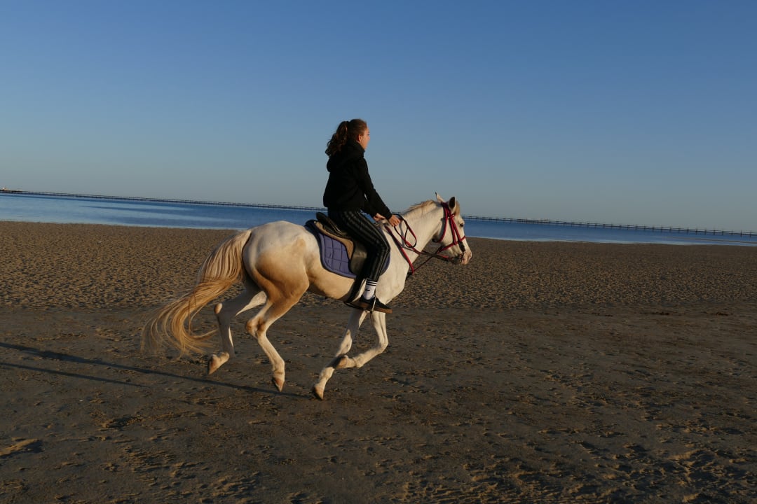 Strand Casa Mare Resort