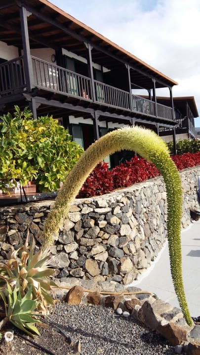 Gartenanlage Hotel Santa Ana