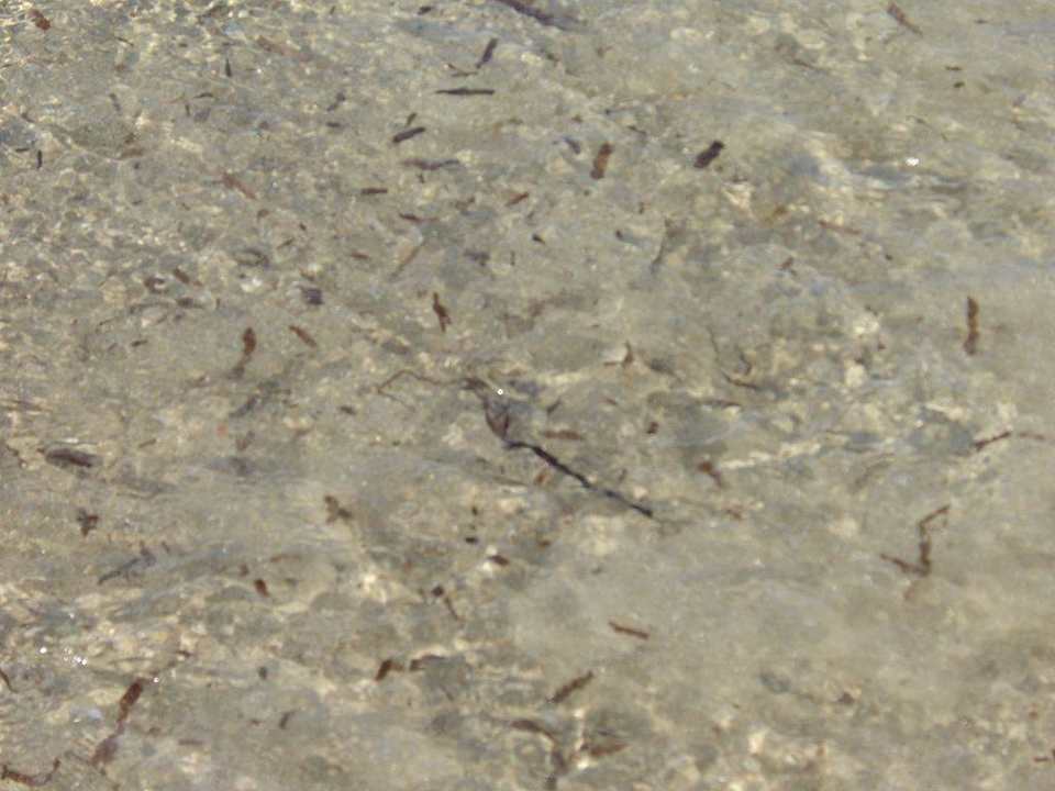 Sauberes Meer Simantro Resort