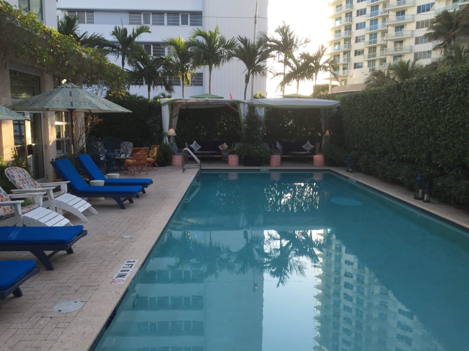 Pool mit Liegen Circa 39 Hotel Miami