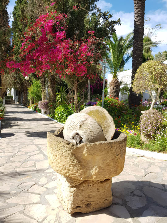 Gartenanlage The Orangers Beach Resort and Bungalows