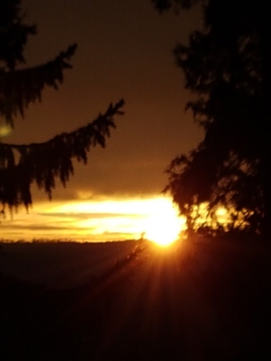 Sonstigs Hotel Cafe Drei Tannen