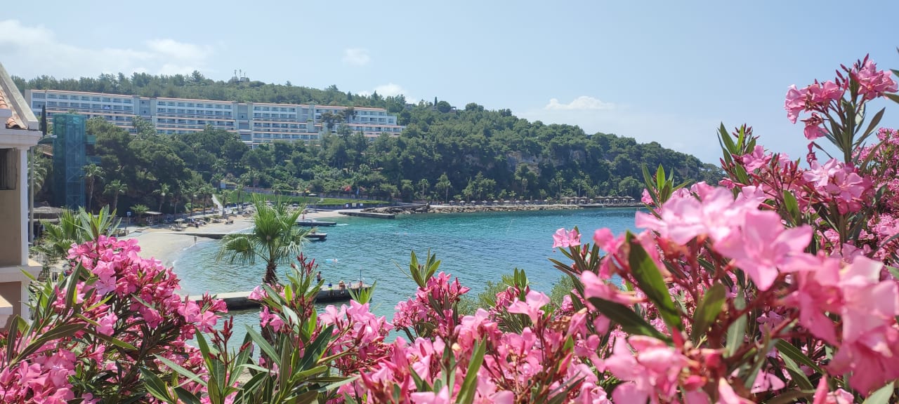 Ausblick Hotel Pine Bay Holiday Resort