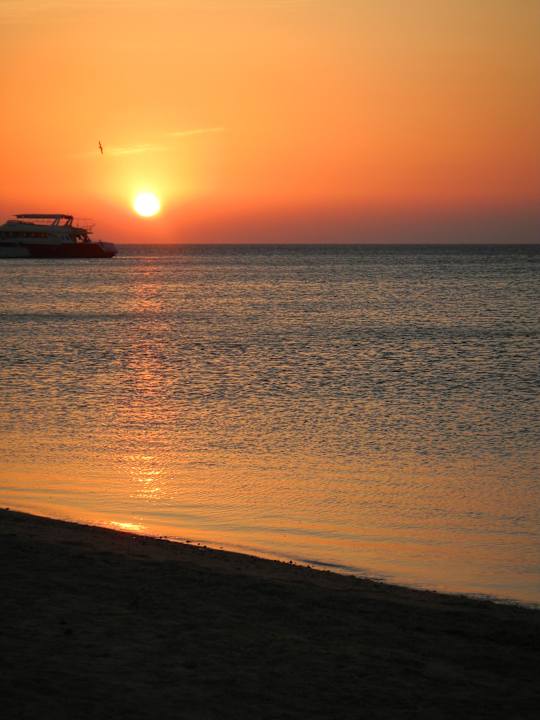 Sonnenaufgang Pickalbatros Palace Resort