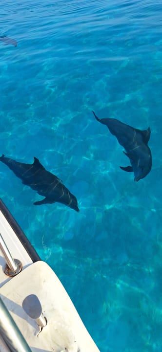 Sport & Freizeit Meeru Maldives Resort Island