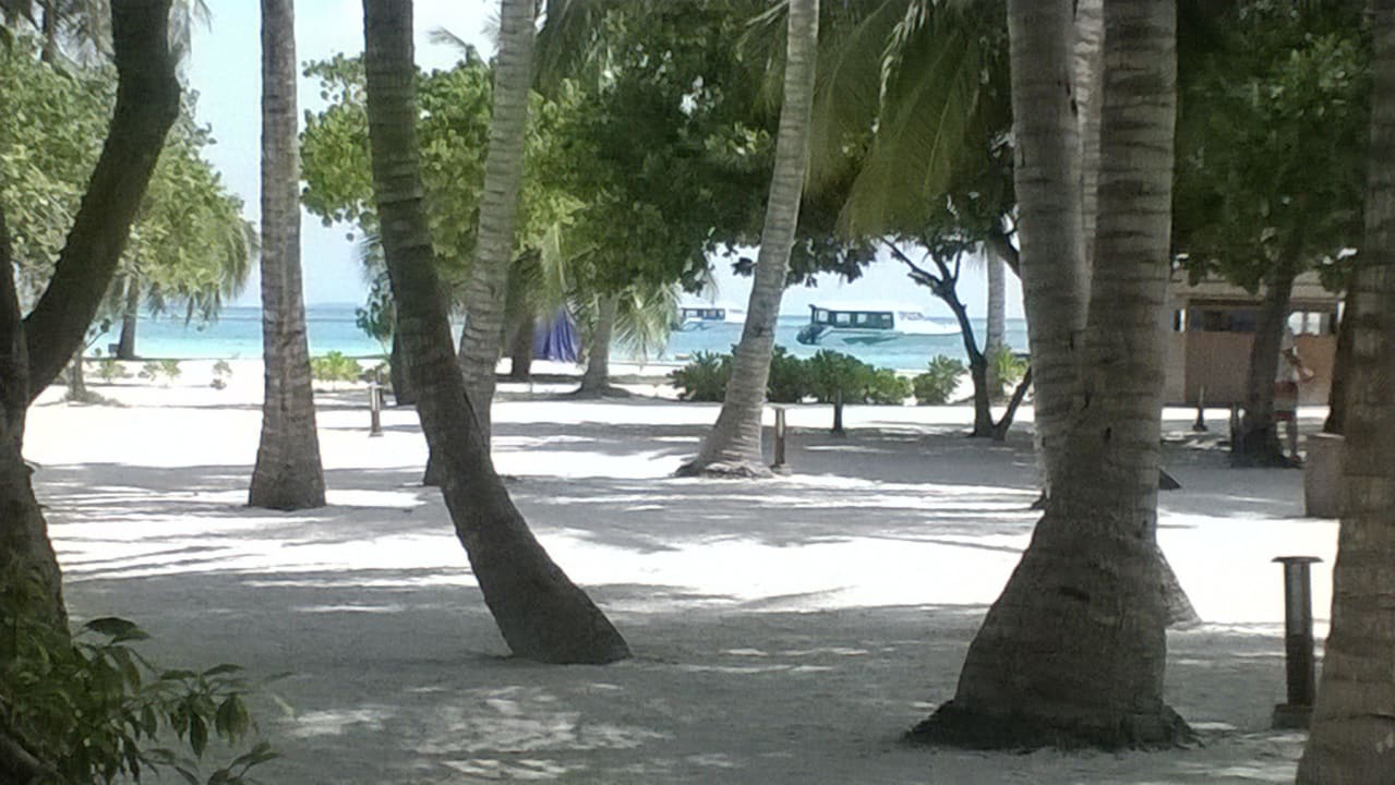 Blick aus dem Buffet-Restaurant an der Rezeption Meeru Maldives Resort Island