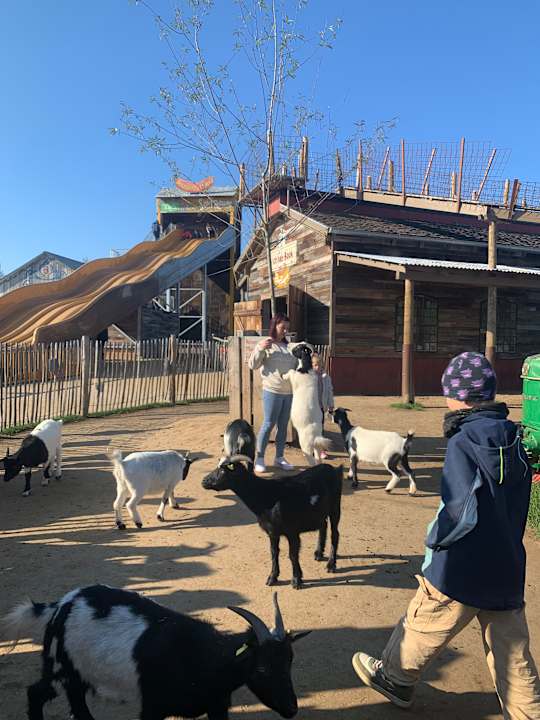 Sonstiges Die Karls Bande - Das Hotel