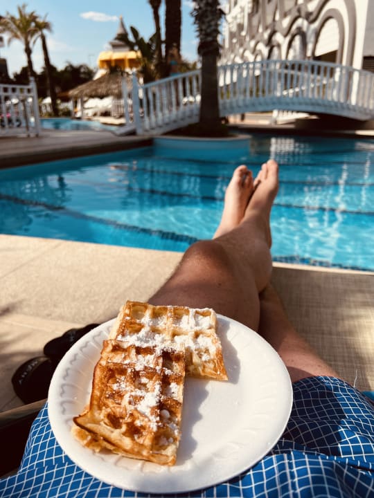 Gastro Well Palace Side