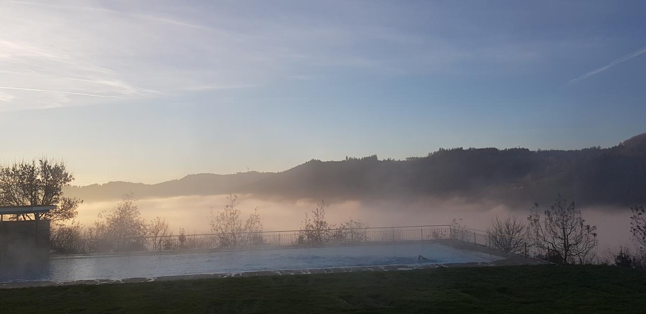 Gartenanlage Elztalhotel