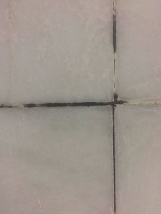 Dusche Asteria Collection Side