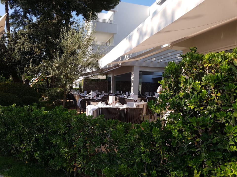 Gastro Canyamel Park Hotel & Spa 16+ Adults only