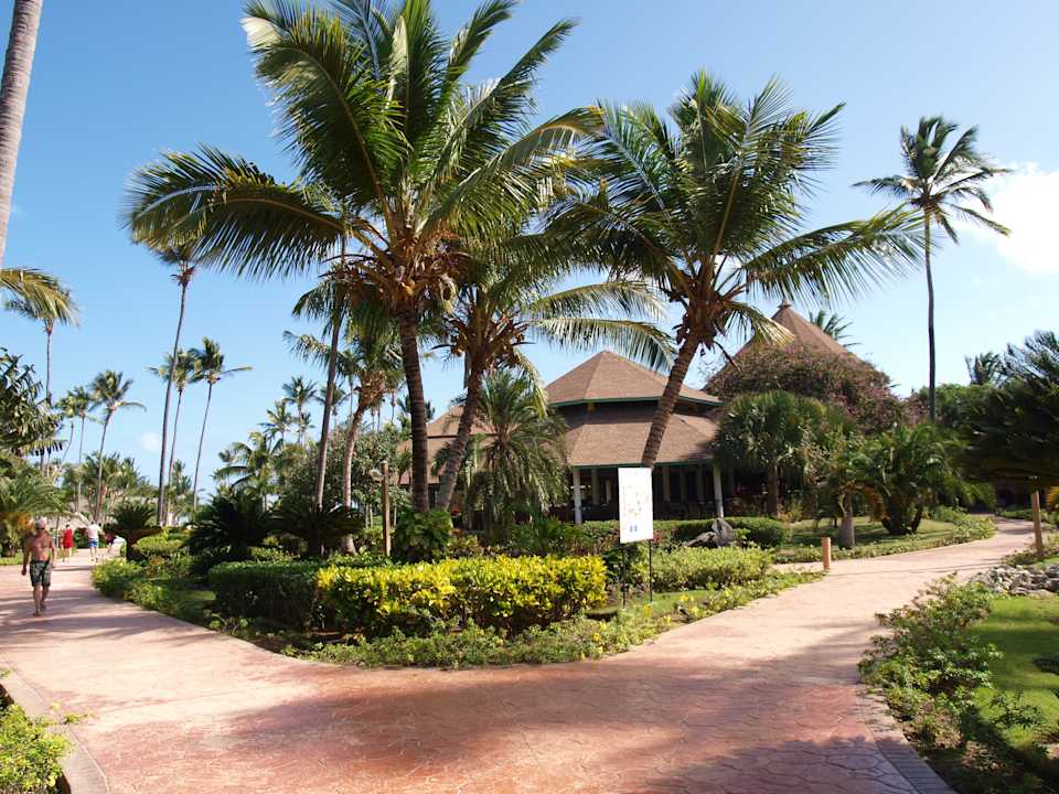 Gartenanlage und Restaurant VIK Hotel Arena Blanca