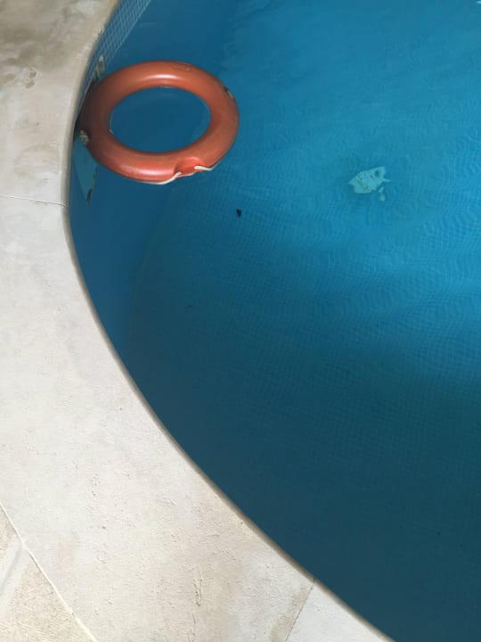 Pool im SPA-Bereich mit Fäkalien Ithea Suites Hotel