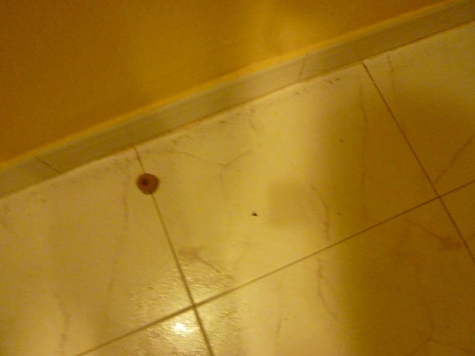 Dreckiger Boden Elba Castillo San Jorge & Antigua Suite Hotel