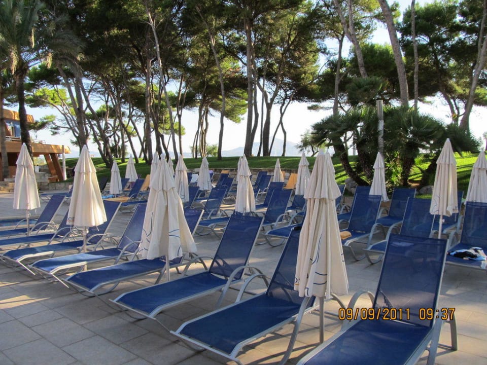 Freie Liegen um ca. 9:30h Iberostar Waves Playa de Muro