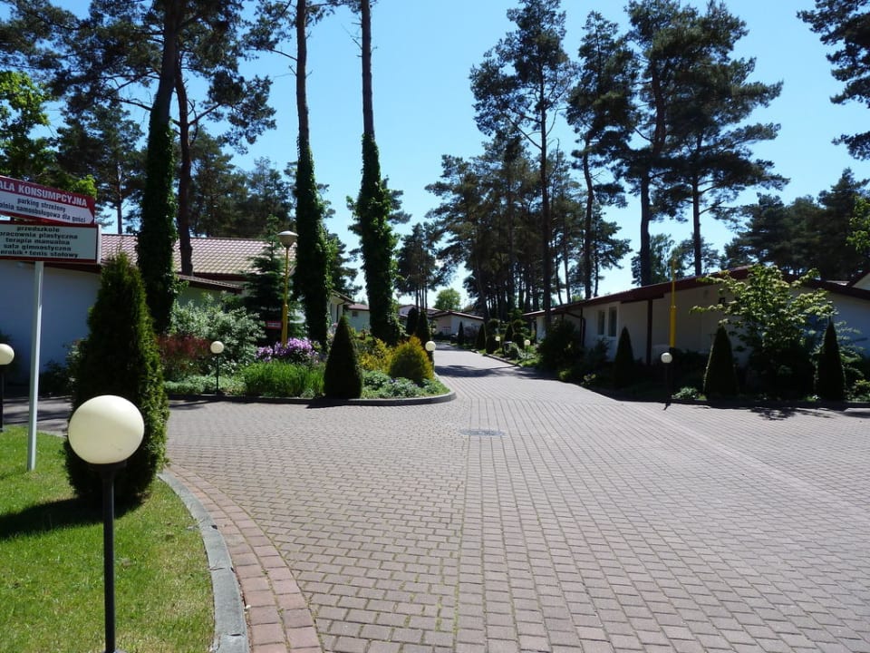 Przepiękna zieleń Aquapark Health Resort & Medical SPA Panorama Morska
