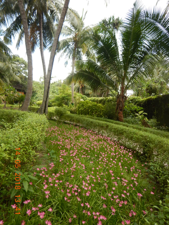 Gartenanlage Adaaran Select Meedhupparu Island Resort - Premium All Inclusive