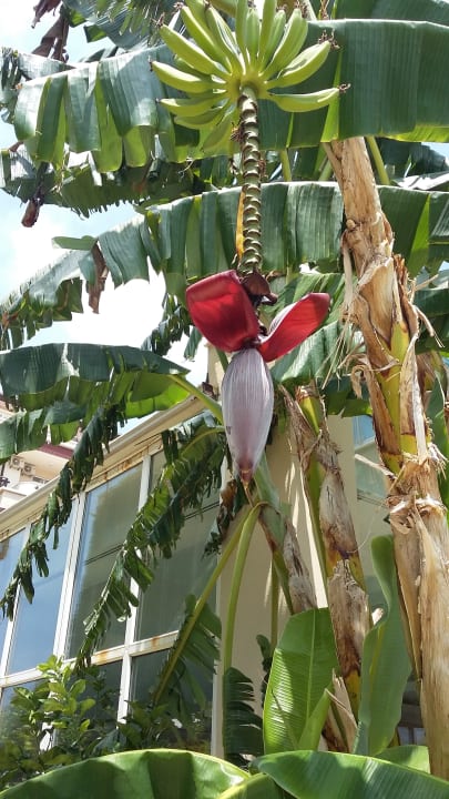 Gartenanlage Solivia Hotel