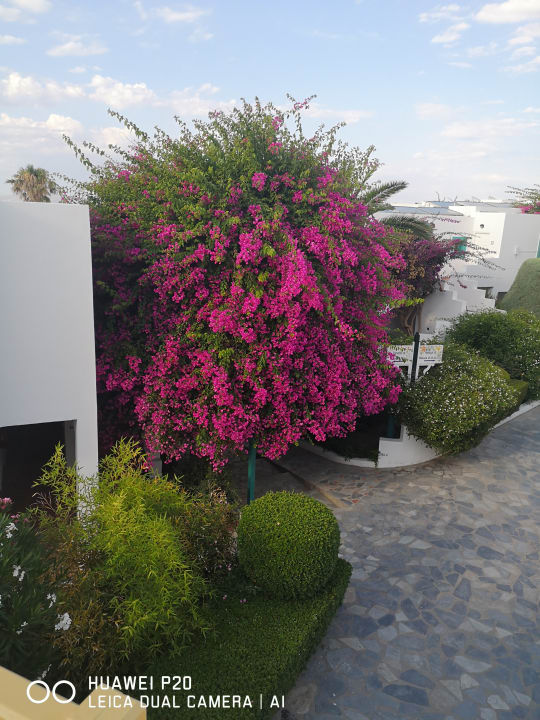 Gartenanlage Mastichari Bay Hotel