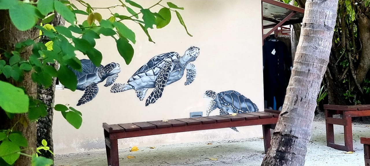 Sport & Freizeit Summer Island Maldives