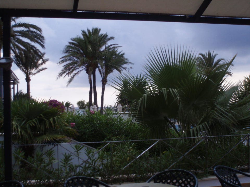 An der Poolbar Hipotels Hipocampo Playa