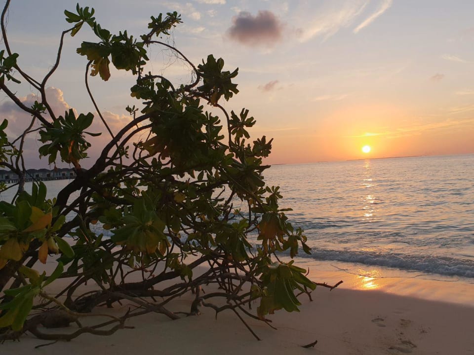 Ausblick NH Collection Maldives Havodda Resort
