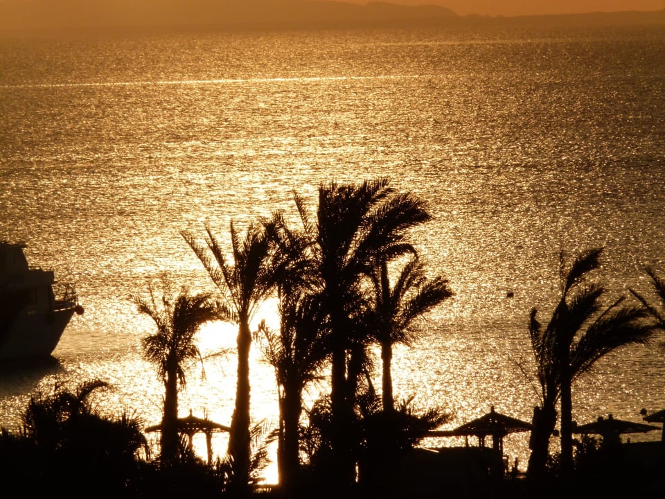 Sonnenaufgang Steigenberger ALDAU Beach Hotel
