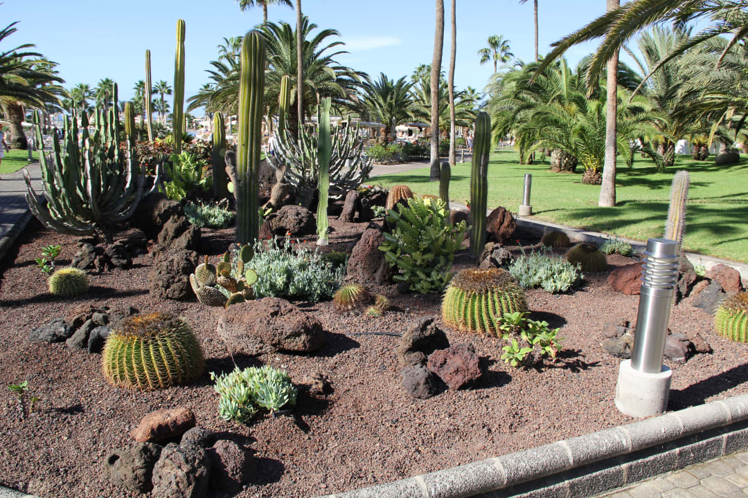 Gartenanlage Hotel Riu Gran Canaria