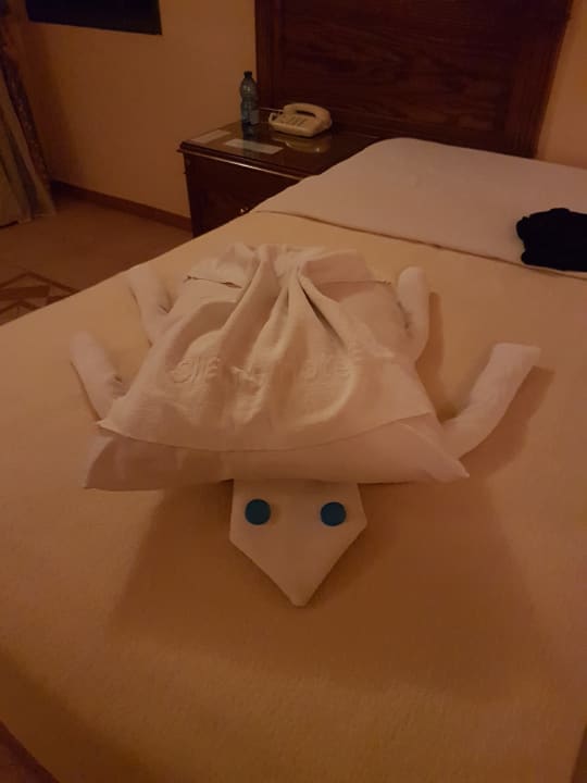 Zimmer Shams Alam Beach Resort