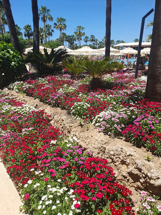 Gartenanlage VONRESORT Golden Coast