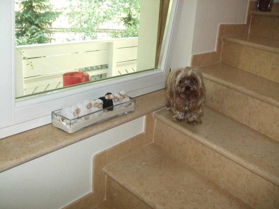 Der Chef Residence Villa Anina