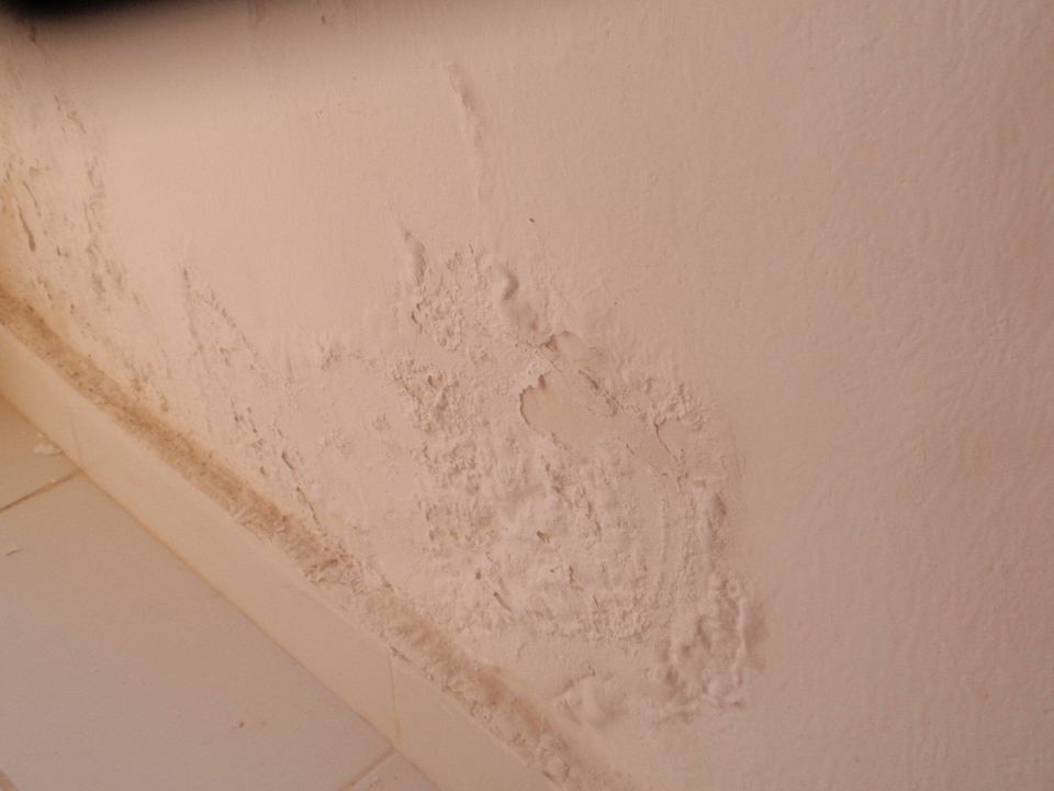 Wilgoć na ścianie  Pensée Royal Garden Beach Resort