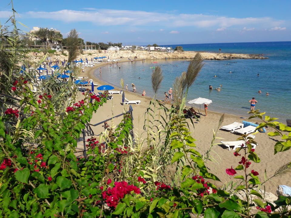 Strand Crystal Springs Beach Hotel