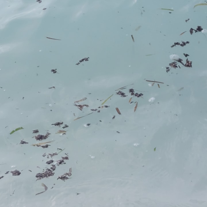 Strand Meeru Maldives Resort Island