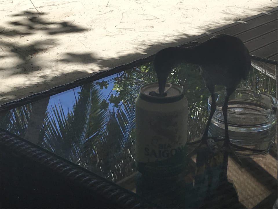 Sonstiges Angaga Island Resort