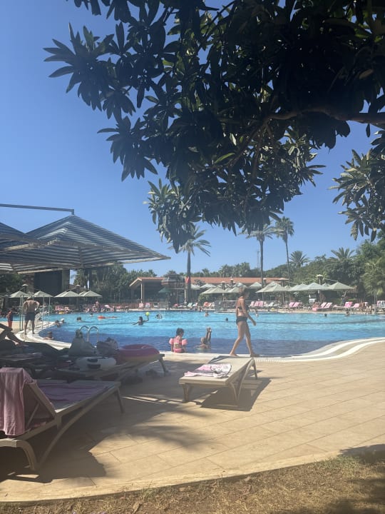 Pool Belconti Resort Hotel