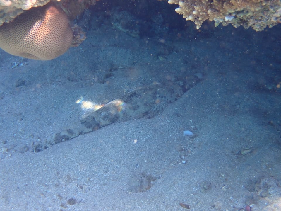 Sport & Freizeit Shams Alam Beach Resort