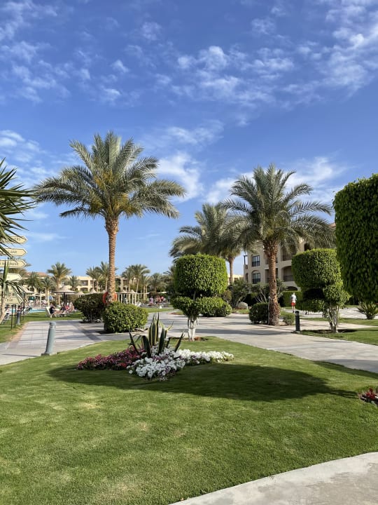 Gartenanlage JAZ Aquamarine Resort
