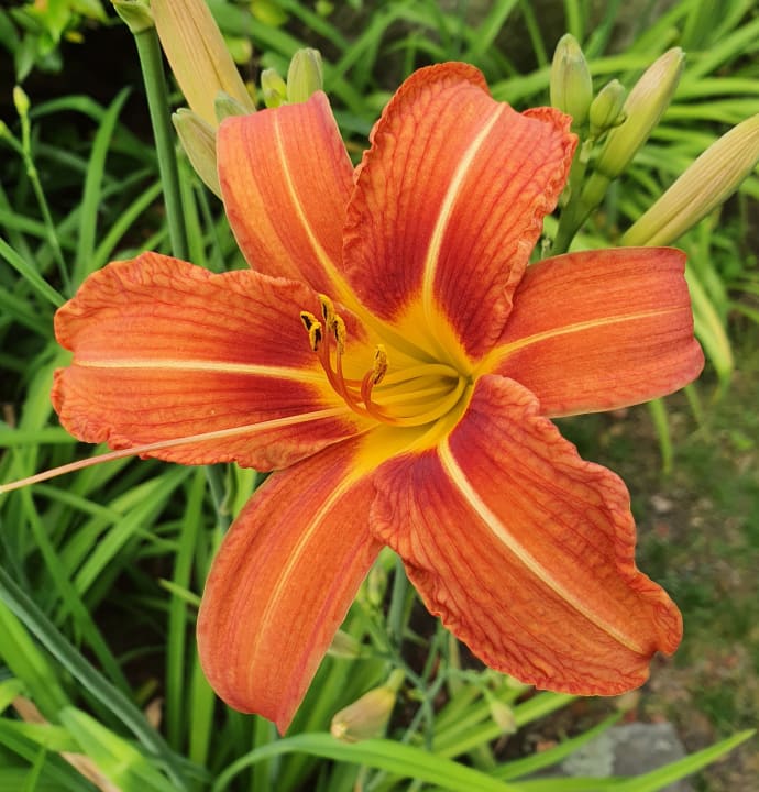 Gartenanlage Hotel Barbate