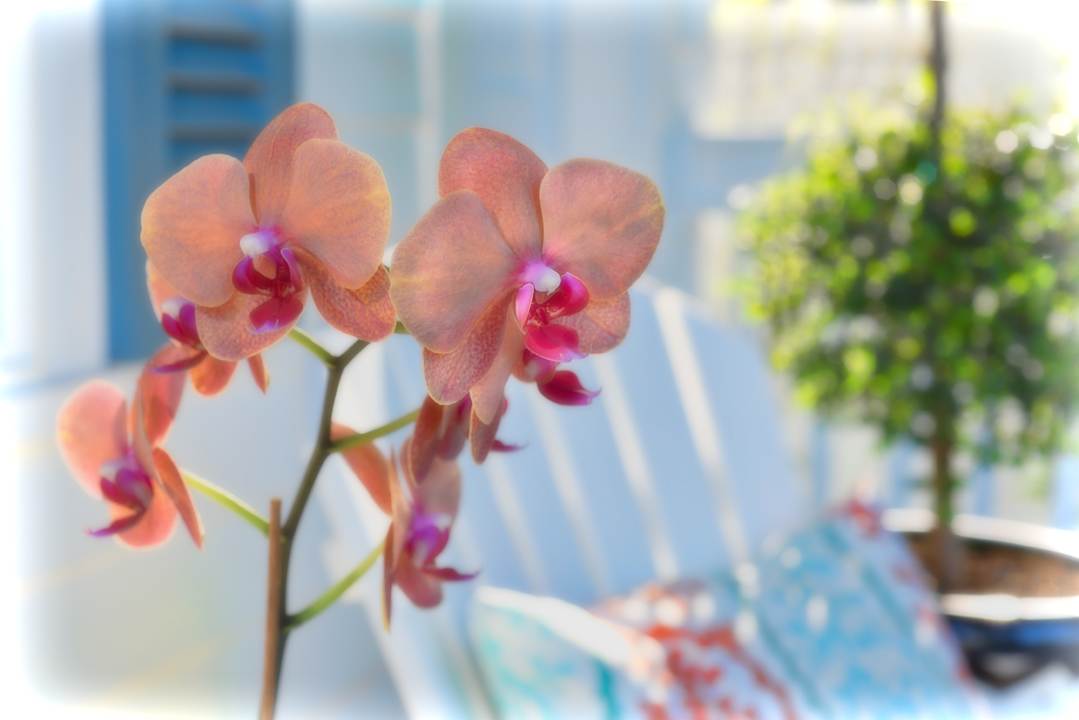 Sonstiges Hotel The Gardens Key West