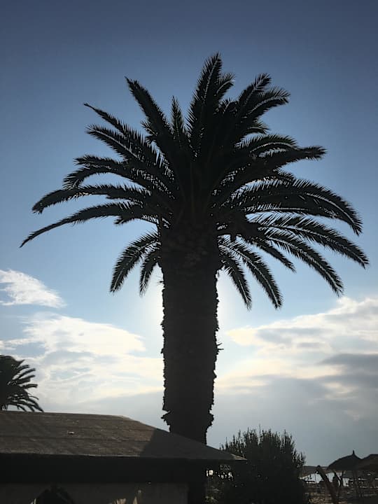 Urlaub The Orangers Beach Resort and Bungalows