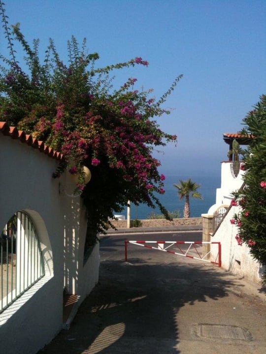 Zimmer mit Meerblick Hotel Terme Royal Palm