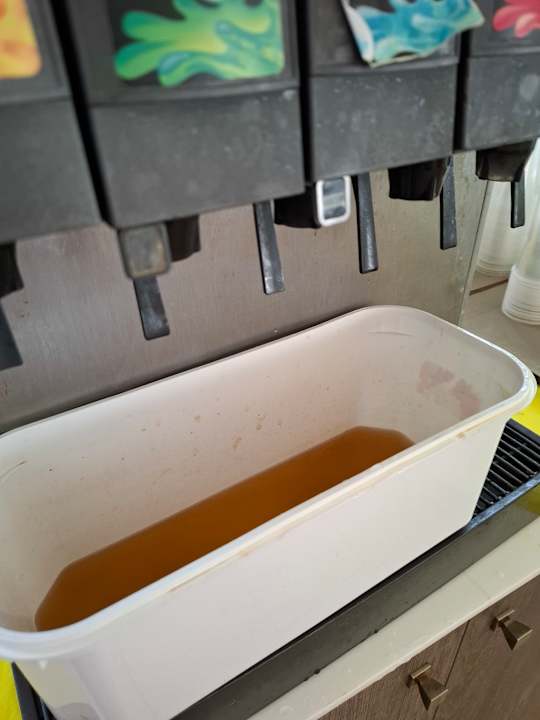 Gastro Olympian Bay Grand Resort