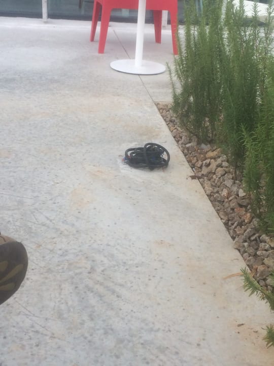 Sonstiges Falkensteiner Hotel Park Punat