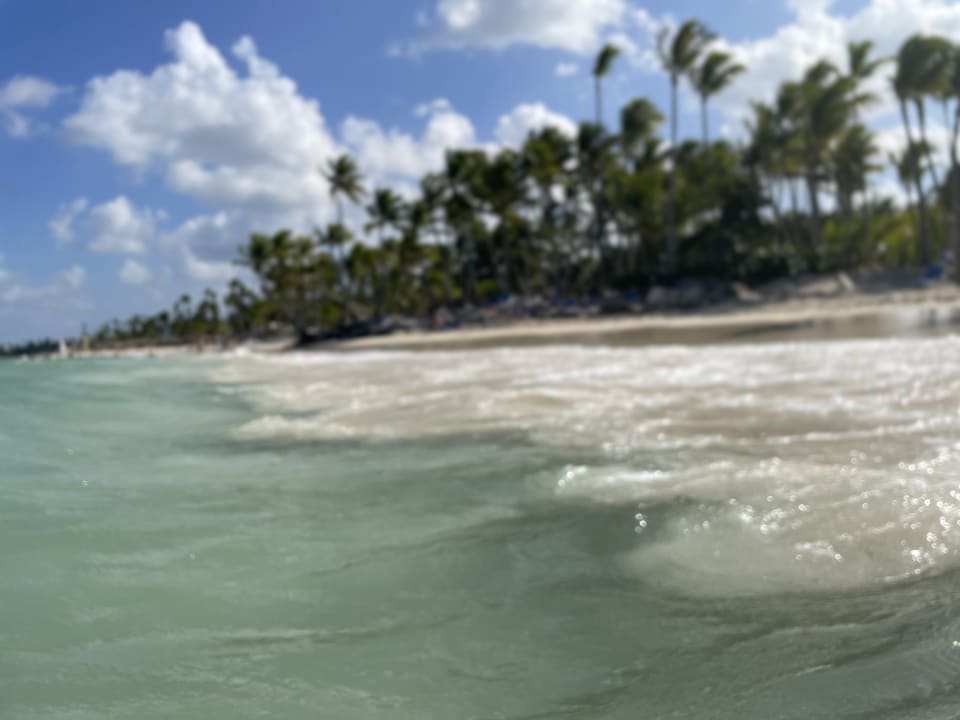 Strand Hotel Riu Palace Bavaro