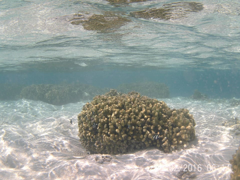 Am Strand Cinnamon Dhonveli Maldives